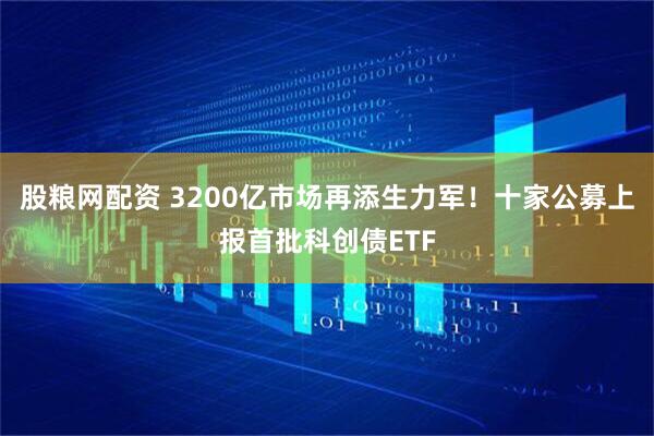 股粮网配资 3200亿市场再添生力军！十家公募上报首批科创债ETF