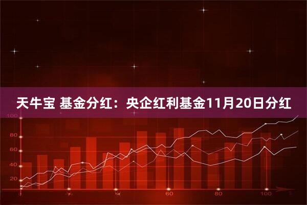 天牛宝 基金分红：央企红利基金11月20日分红